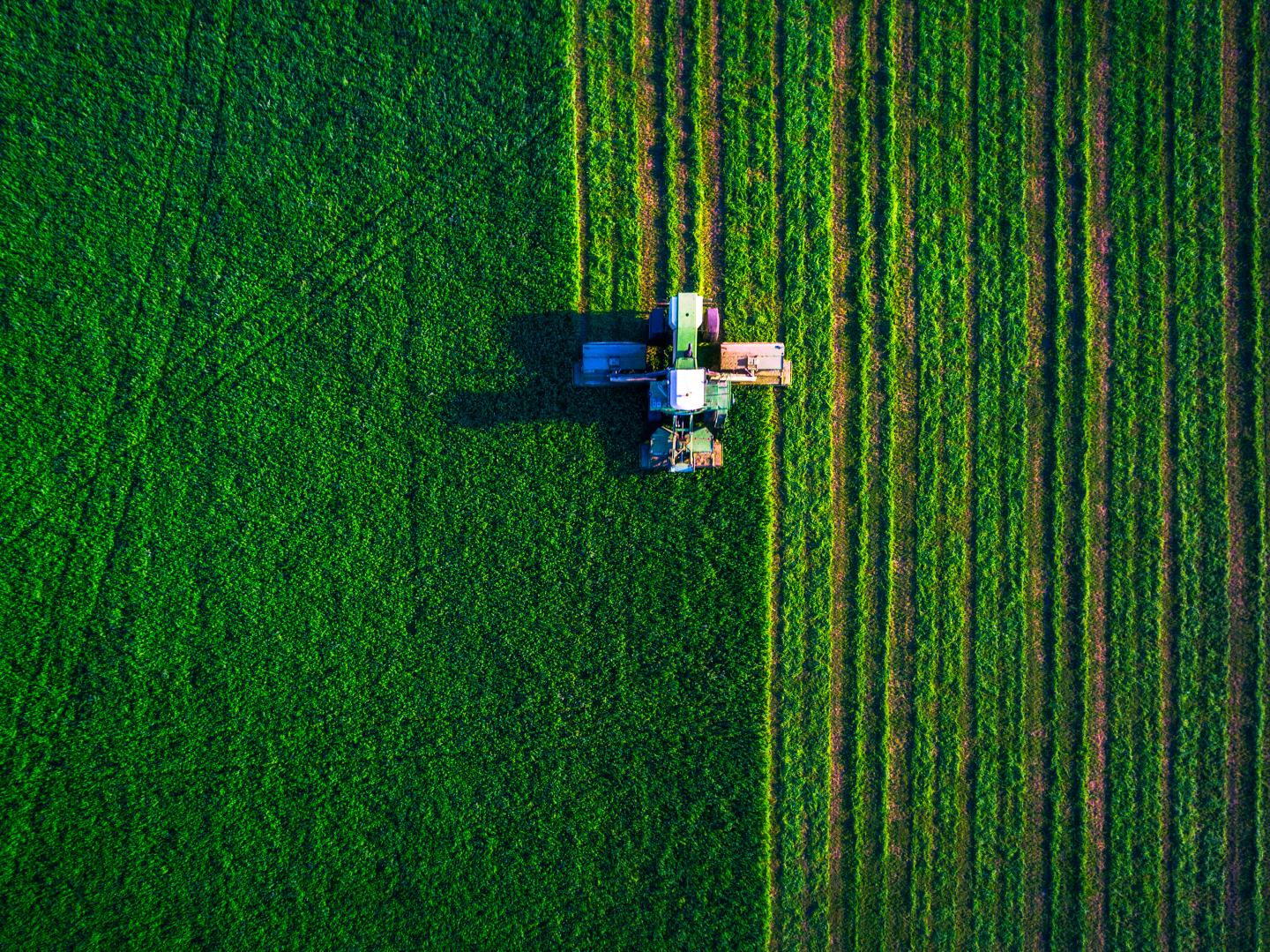 Aerial view of harvester in a field. 