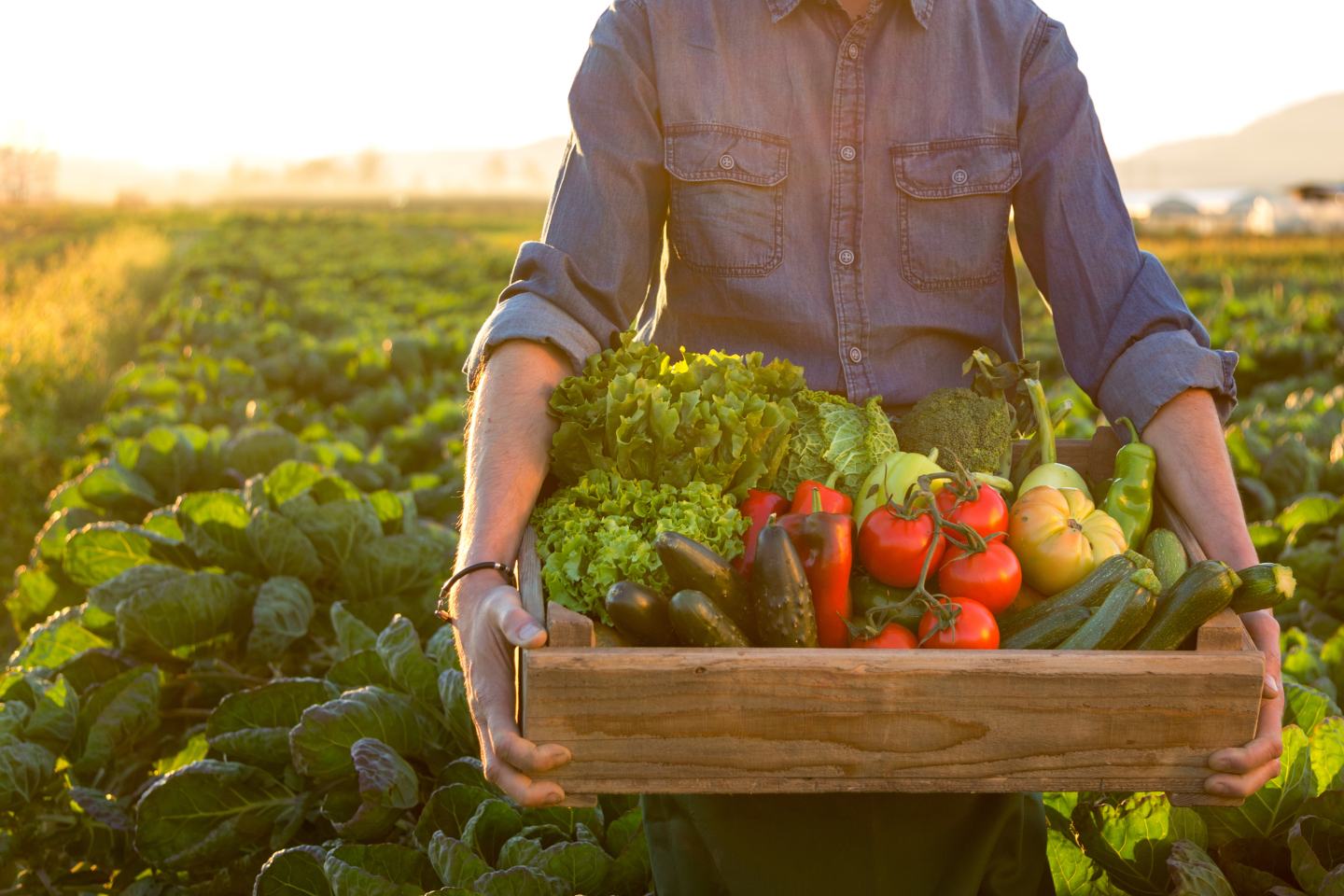 FMC Corporation and UN Global Compact Network USA convene global leaders to discuss future of sustainable food systems during United Nations General Assembly